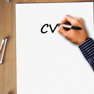 CV Writing Skills